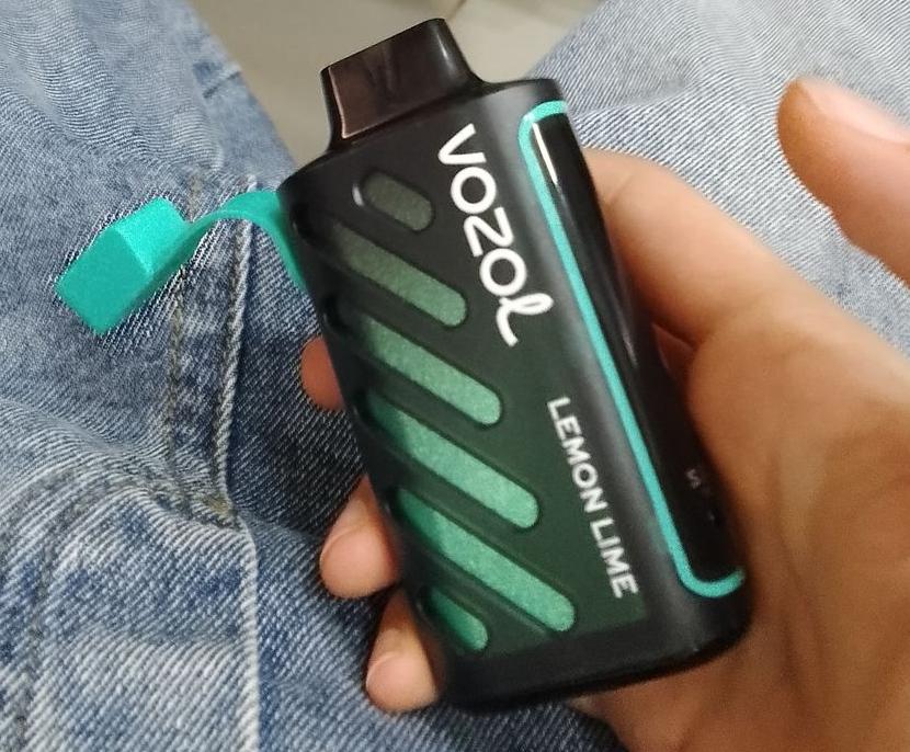 Vozol Vape Schweiz: Die Revolution des Dampferlebnisses